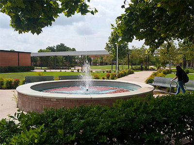 Lee College fountain