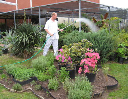 A student watering plants
